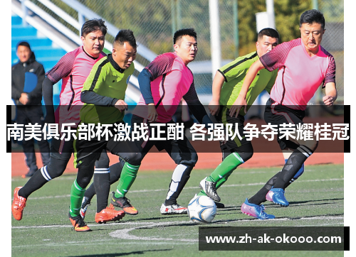 南美俱乐部杯激战正酣 各强队争夺荣耀桂冠 南美俱乐部杯激战正酣 各强队争夺荣耀桂冠