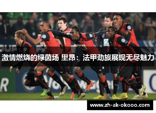 激情燃烧的绿茵场 里昂：法甲劲旅展现无尽魅力