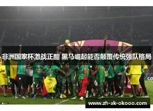 非洲国家杯激战正酣 黑马崛起能否颠覆传统强队格局