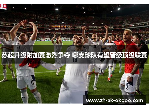 苏超升级附加赛激烈争夺 哪支球队有望晋级顶级联赛